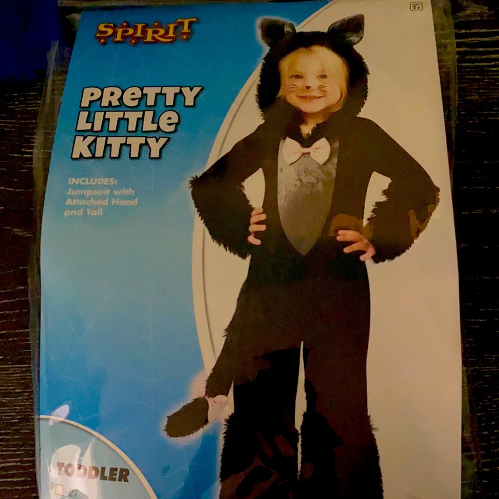Spirit Halloween costume!